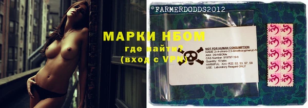 хмурый Дмитров