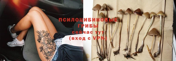 хмурый Дмитров