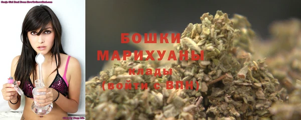 хмурый Дмитров
