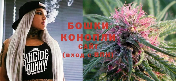 хмурый Дмитров