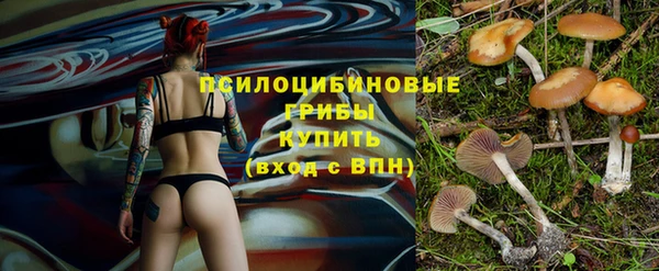 меф Дмитровск