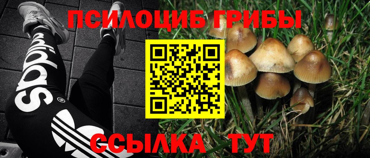 Галлюциногенные грибы Magic Shrooms Заволжье