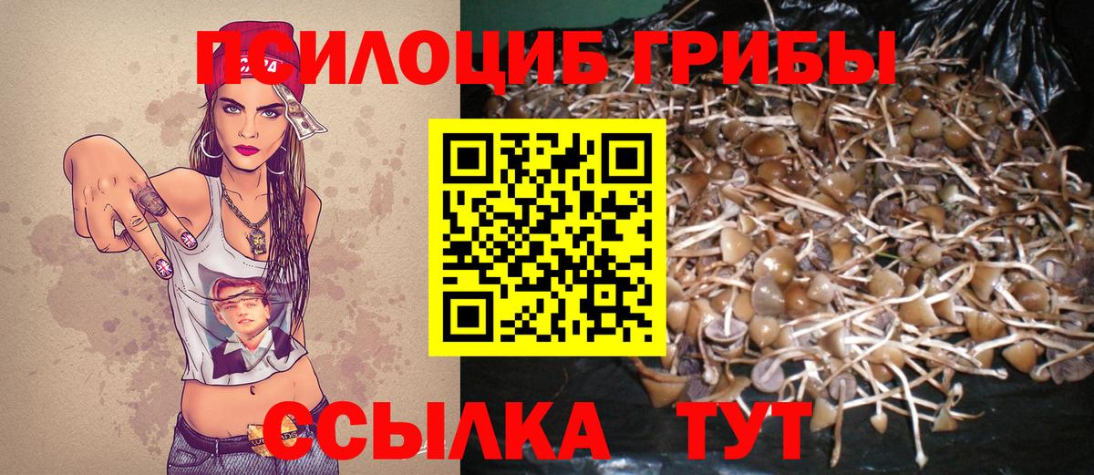 Галлюциногенные грибы Psilocybe  Вход с VPN  Галлюциногенные грибы мухоморы  Заволжье 